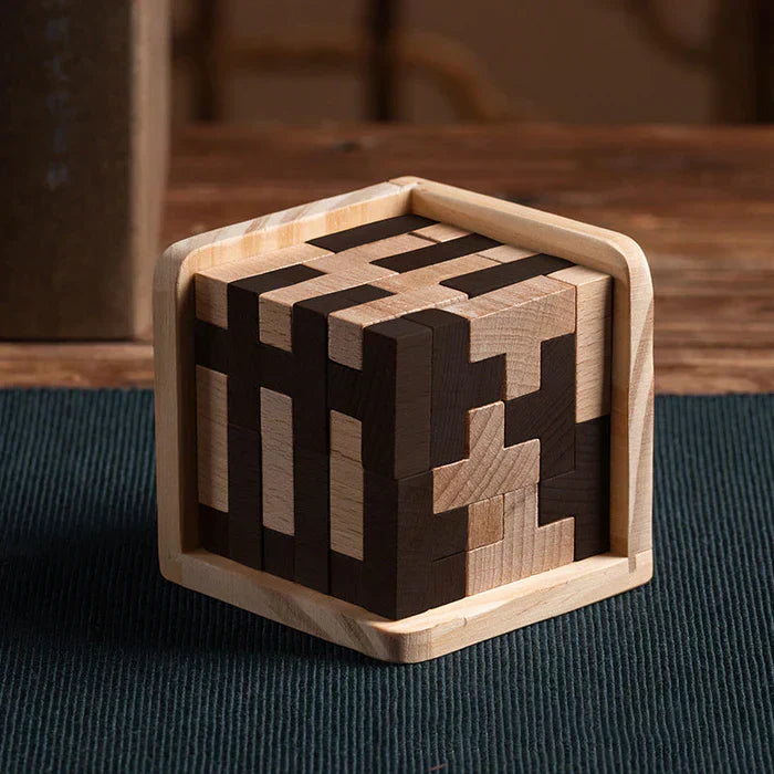 3D Wooden Brain Teaser - PuzzleMaster-State of Style