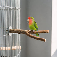 Green and orange lovebird perched on a forked natural branch fixed with a wing nut to the wire of a bird cage. 2