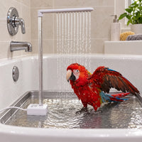 A red macaw spreads its wings in a bathtub while the rain-style spray falls from the arm above. 2