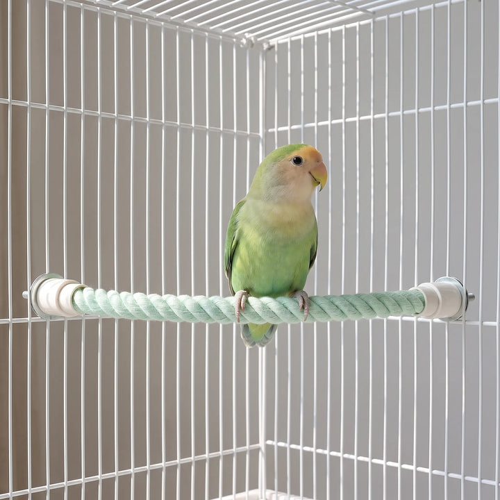 A green lovebird perched on a mint twisted rope perch fixed horizontally inside a white wire cage. 2