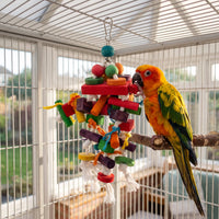 A sun conure perched in a cage, nibbling a red wooden block on the hanging toy. 3