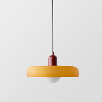 Decorative Glass Pendant Light for Dining Rooms