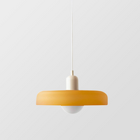 Decorative Glass Pendant Light with Adjustable Hanging Cord