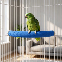 Green parrot perched on the blue sand-textured curved perch, fitted inside a white cage in a bright living room. 2