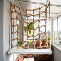 Green parrot perched on the rope net in a bright conservatory, with a white platform at the bottom. 2