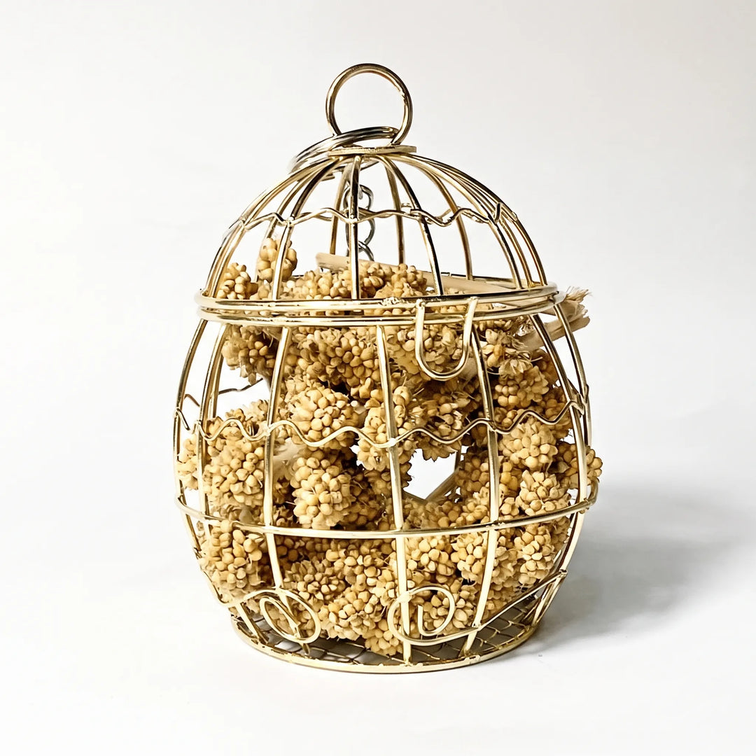 Egg-shaped gold-coloured wire cage with a top ring, packed with dried millet sprays, shown against a plain white background. 1