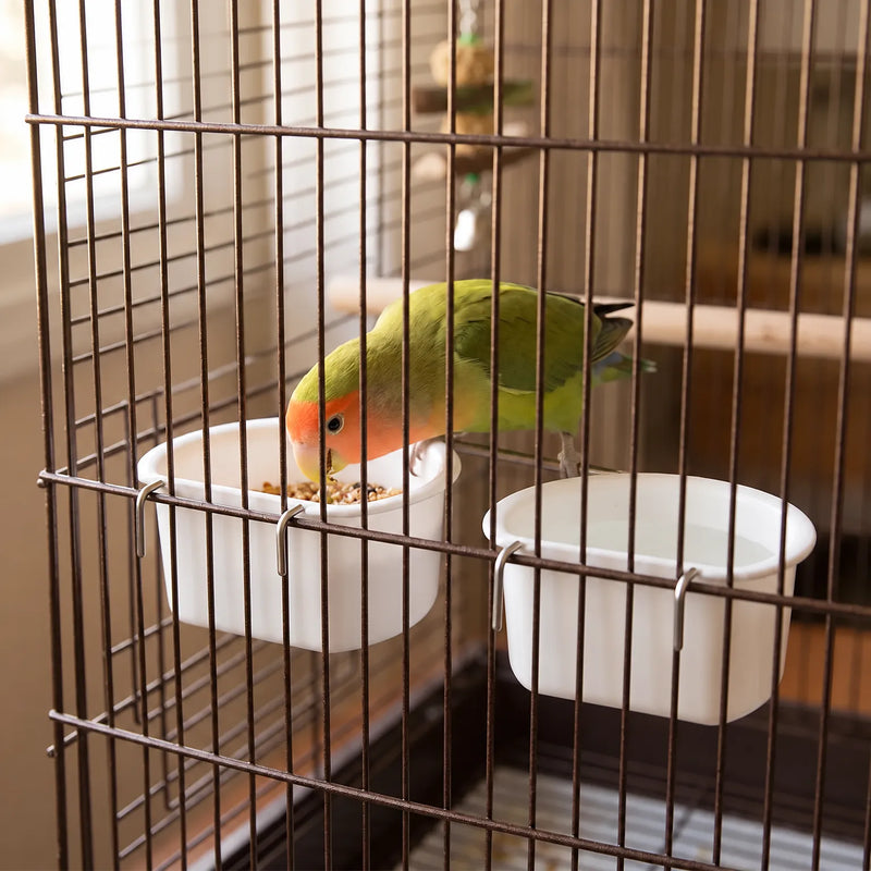 Two white bowls hooked onto cage bars, with a green and orange lovebird eating seed from the left one. 2