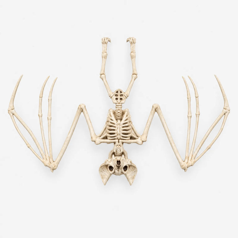Hanging Bat Skeleton - Nocturnia