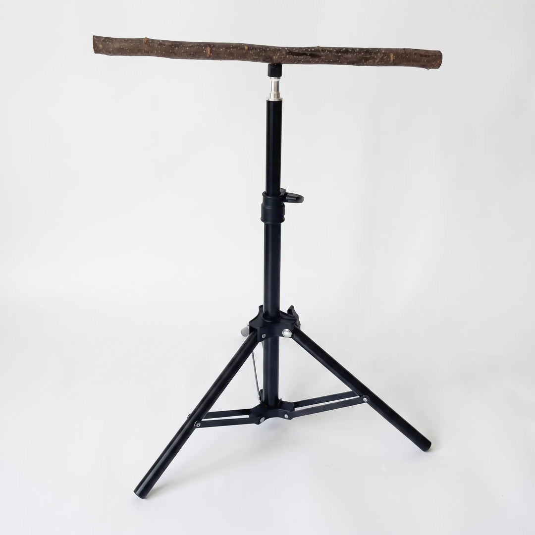 Black tripod bird stand with telescopic pole and a natural wooden branch perch on top, shown empty against a plain light background. 1