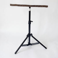 Black tripod bird stand with telescopic pole and a natural wooden branch perch on top, shown empty against a plain light background. 1