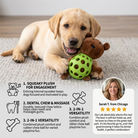 Interactive Dog Toy - SqueakBear