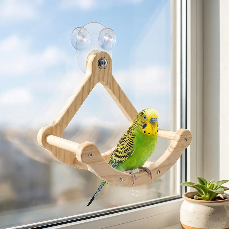 A green and yellow budgerigar perched on the wooden swing, suction-cupped to a sunny window beside a small potted succulent. 2