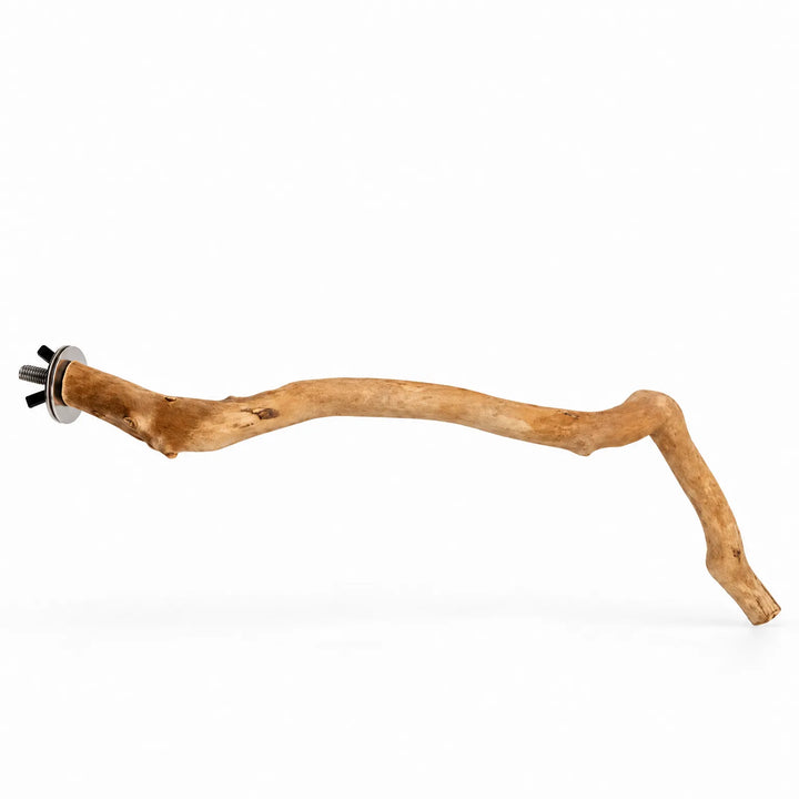 Long, winding natural wood perch with a sharp bend at one end and a metal washer and wing nut at the other. 6