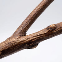 Close-up of the fork in the branch, showing the rough brown bark, a small knot and the natural grain of the wood. 3