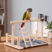 Conure standing on a sand-textured top perch of the wooden playstand, with the ladder, swing, steel cups and tray beneath. 3