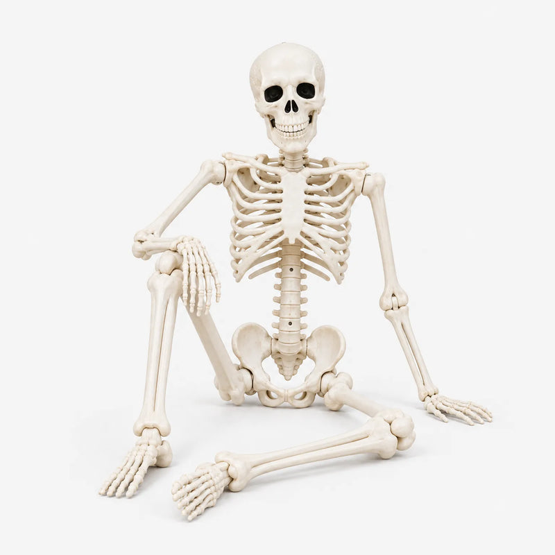 Plastic Skeleton Prop - Hauntjoint