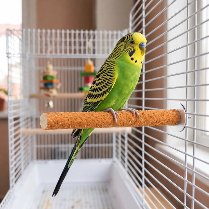 Green and yellow budgerigar standing on an orange gritty perch fitted inside a white cage with hanging toys behind. 2