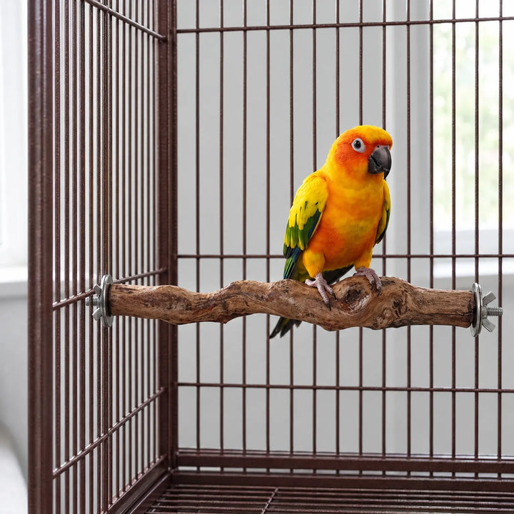 Bright yellow and orange parrot standing on the knotted wooden perch, which is fixed across the inside of a cage. 2