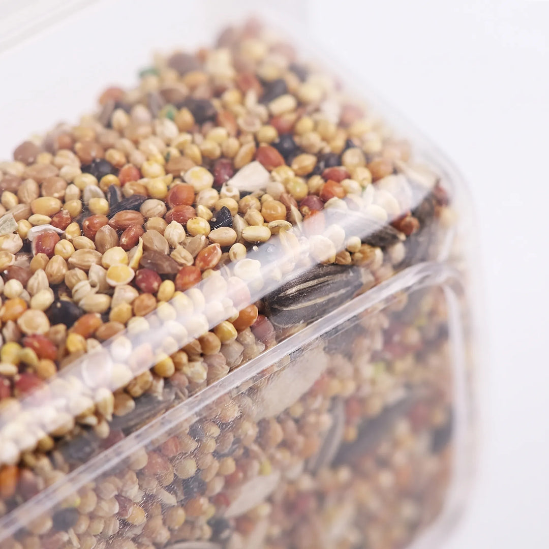 Close-up of the transparent plastic wall and rim of the feeder, showing mixed seeds packed inside. 3