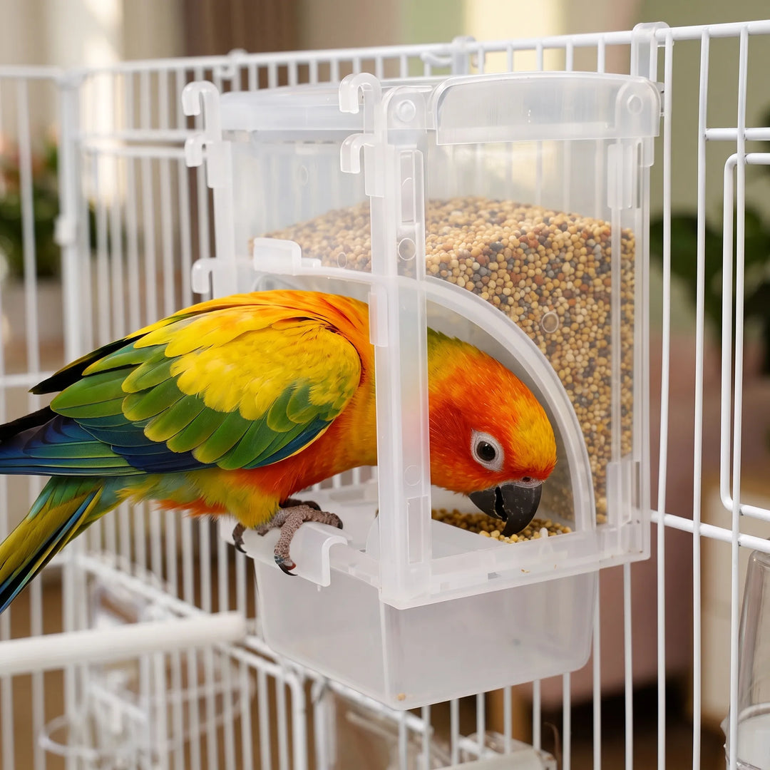 Feeder hung on a white cage with a yellow, orange and green parrot perched on the tray, eating seed. 3