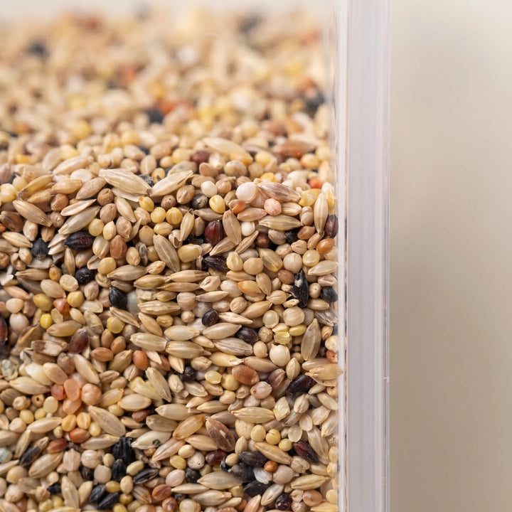 Close-up of mixed grains and seeds seen through the transparent wall of the feeder. 4