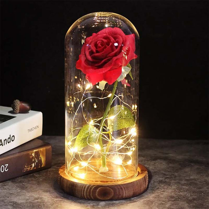 Aurora Rose Under Glass Dome-Red-State of Style