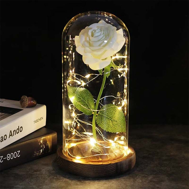 Aurora Rose Under Glass Dome-White-State of Style