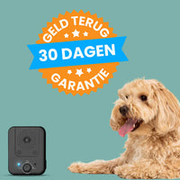 Automatic Bark Stopper - WoofControl-State of Style