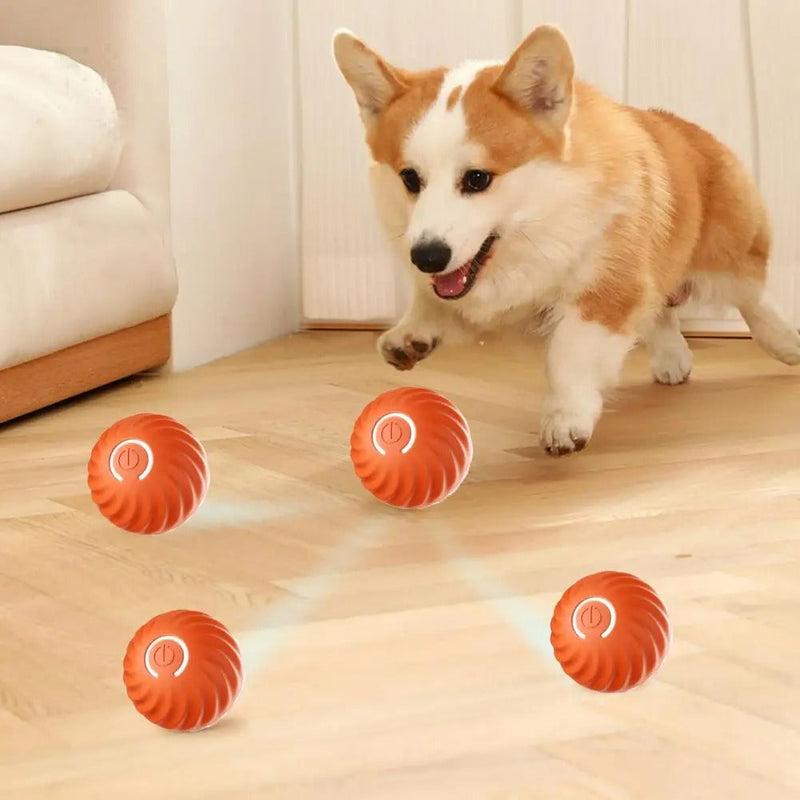 Automatic Interactive Dog Toy - RolliPlay-Blue-State of Style