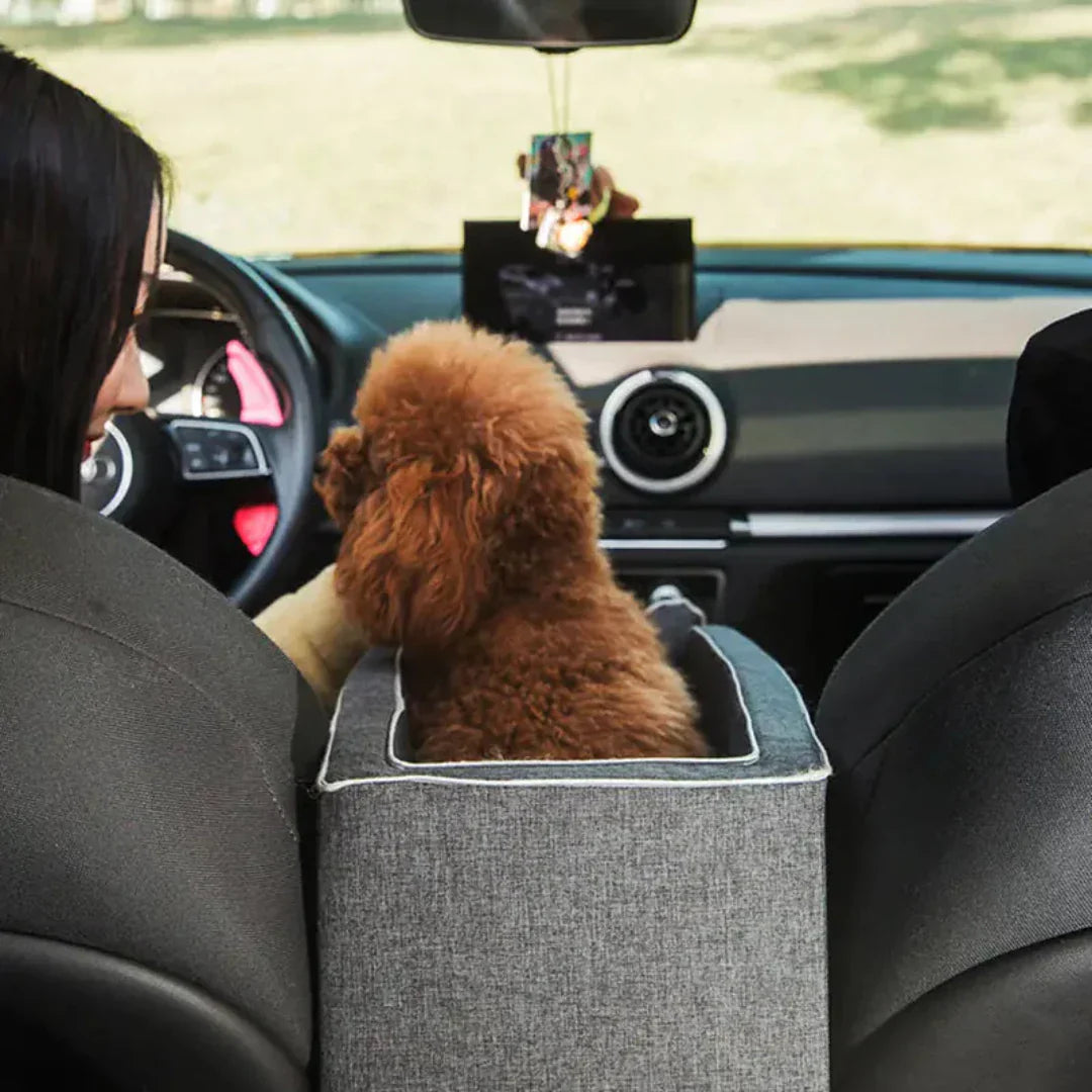 Car seat for Pets - PawVoyage-State of Style
