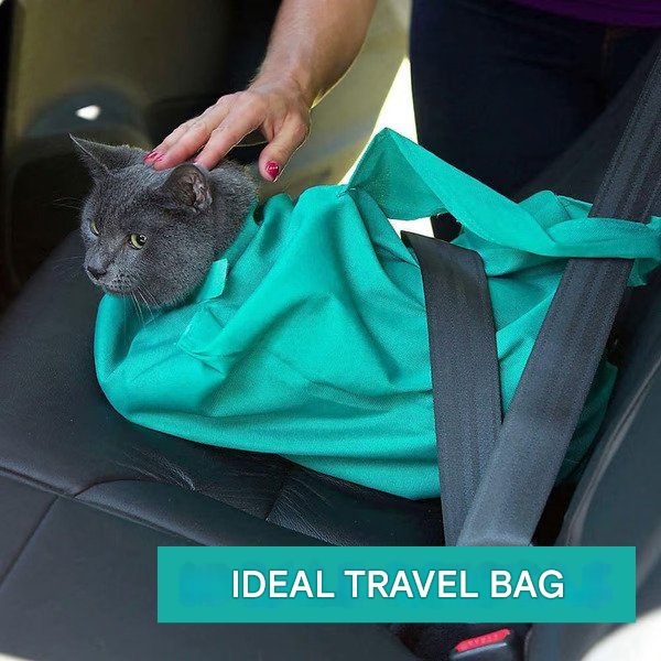 Cat Carrier for Comfortable Transport (Buy 1 Get 1 Free) - PurrPorter-State of Style