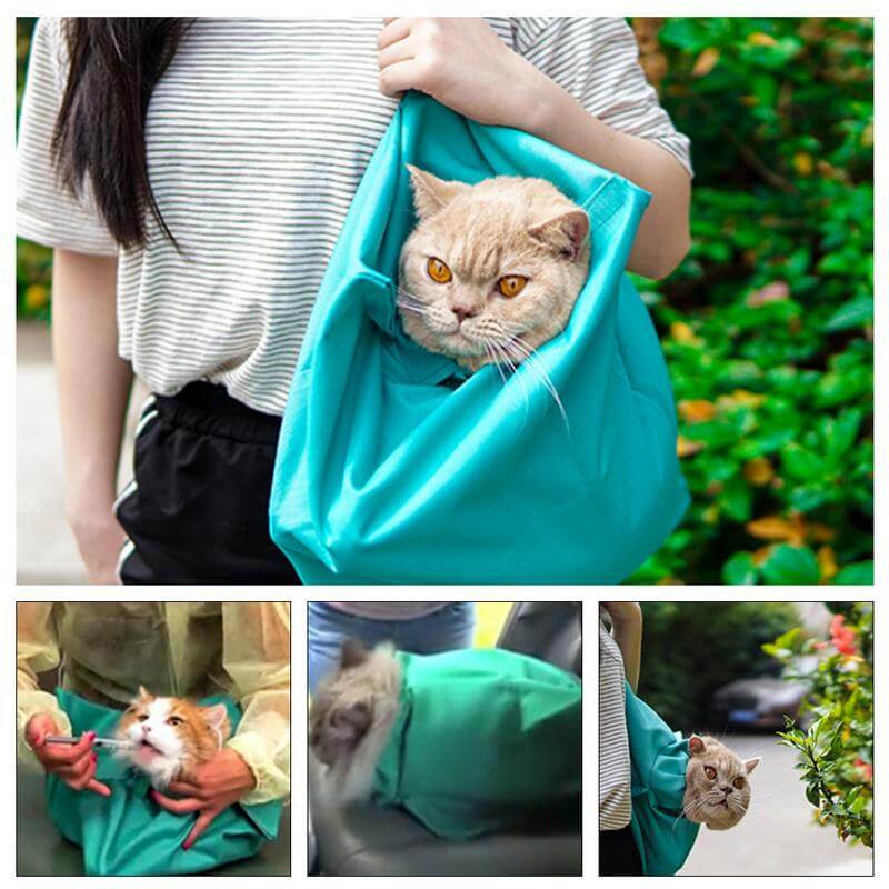 Cat Carrier for Comfortable Transport (Buy 1 Get 1 Free) - PurrPorter-State of Style