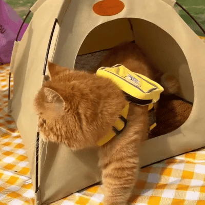 Cooling Cat Tent - CoolCat Retreat-Beige-State of Style
