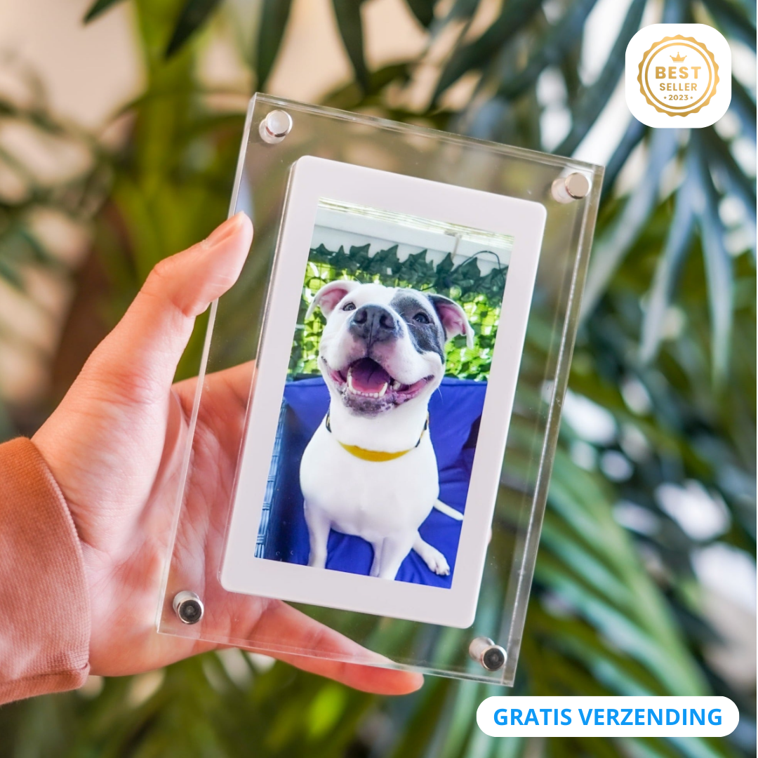 Digital Photo Frame - GlowFrame-12.5 cm-State of Style