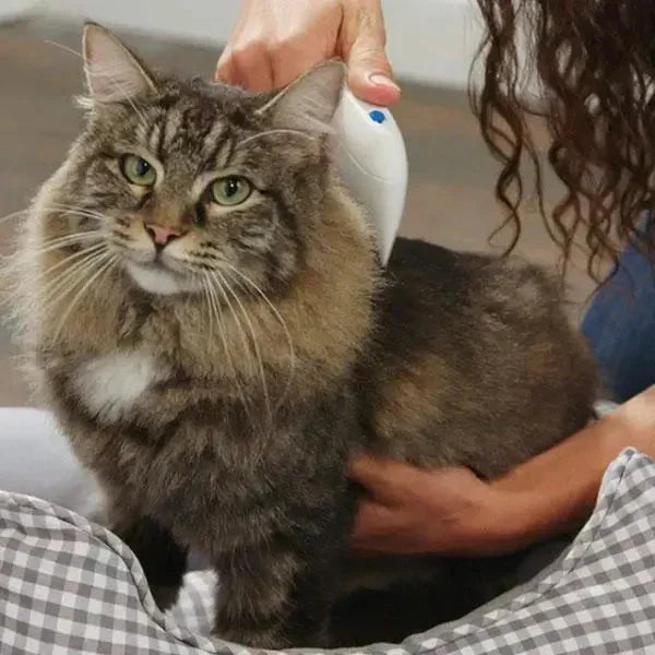 Electric Flea Remover for Pets - FleaZap-State of Style