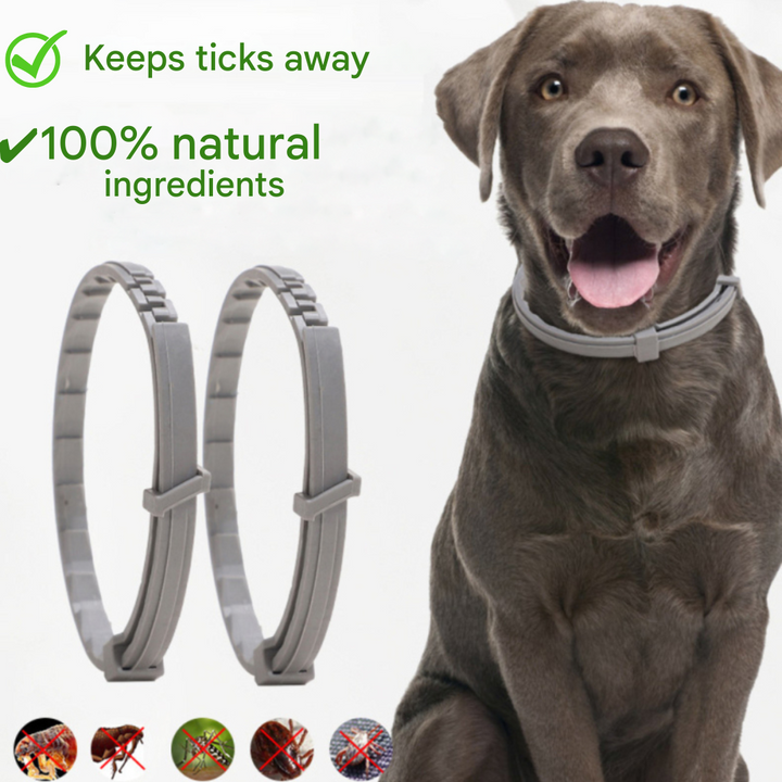 Flea and Tick Collar - FleaGuard-State of Style