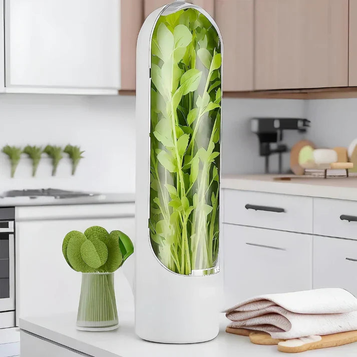 Herb Storage Box - FreshKeep-State of Style