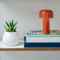 Orange-red mushroom lamp on a stack of books next to a potted aloe 17