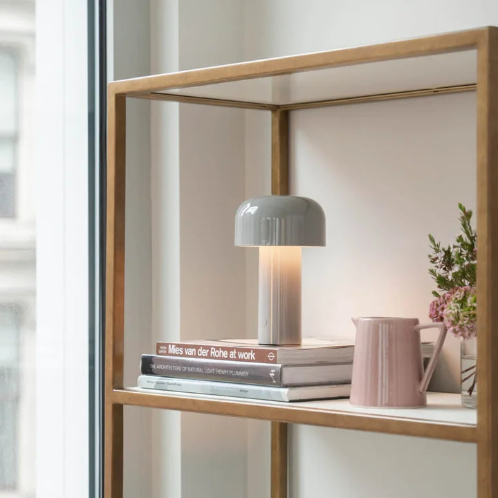 Grey mushroom lamp on a brass-framed shelf with books, a pink jug and flowers 24