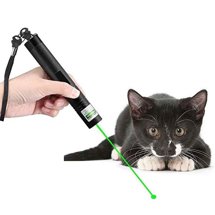 Powerful Laser Pointer - PrecisionBeam-Green-State of Style
