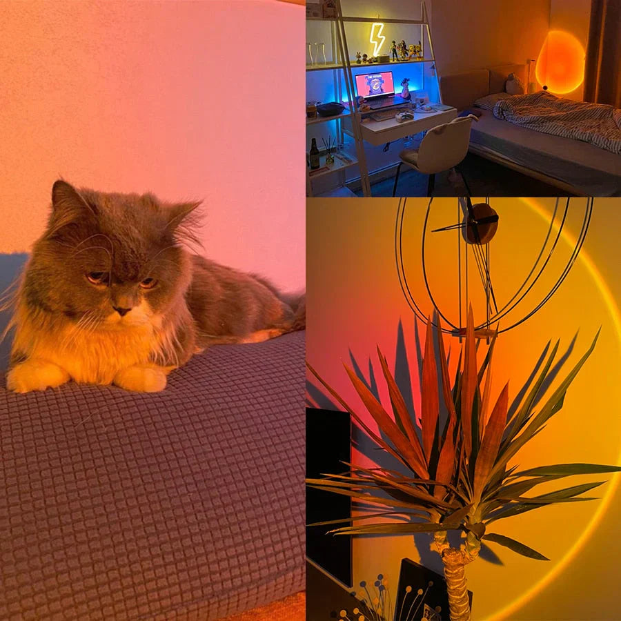 Sunset Lamp with 4 Colours - GlowSphere-Rainbow-State of Style