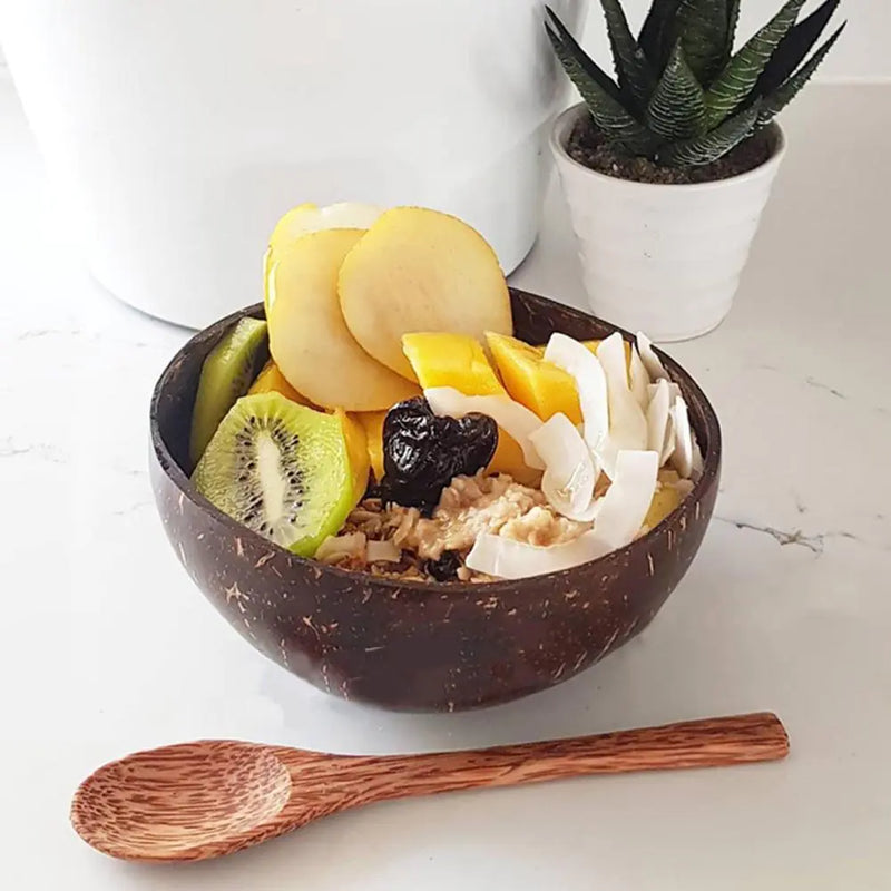 Sustainable Coconut Shell Food Containers - TropiBowl-State of Style