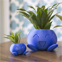 Unique Succulent Pot - QuirkyPot-State of Style