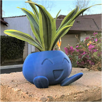 Unique Succulent Pot - QuirkyPot-State of Style